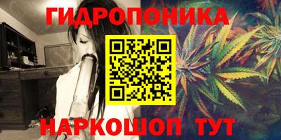 прущие грибы Будённовск