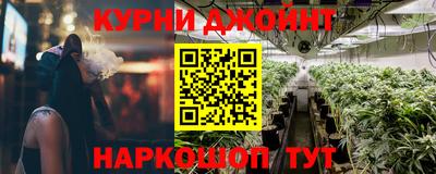 прущие грибы Будённовск