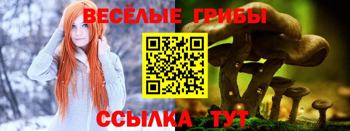 где можно купить наркотик  Псилоцибиновые грибы ЛСД  Вход с VPN  Королёв  Псилоцибиновые грибы мицелий 